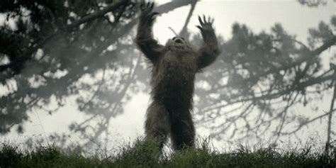 messing with sasquatch gif